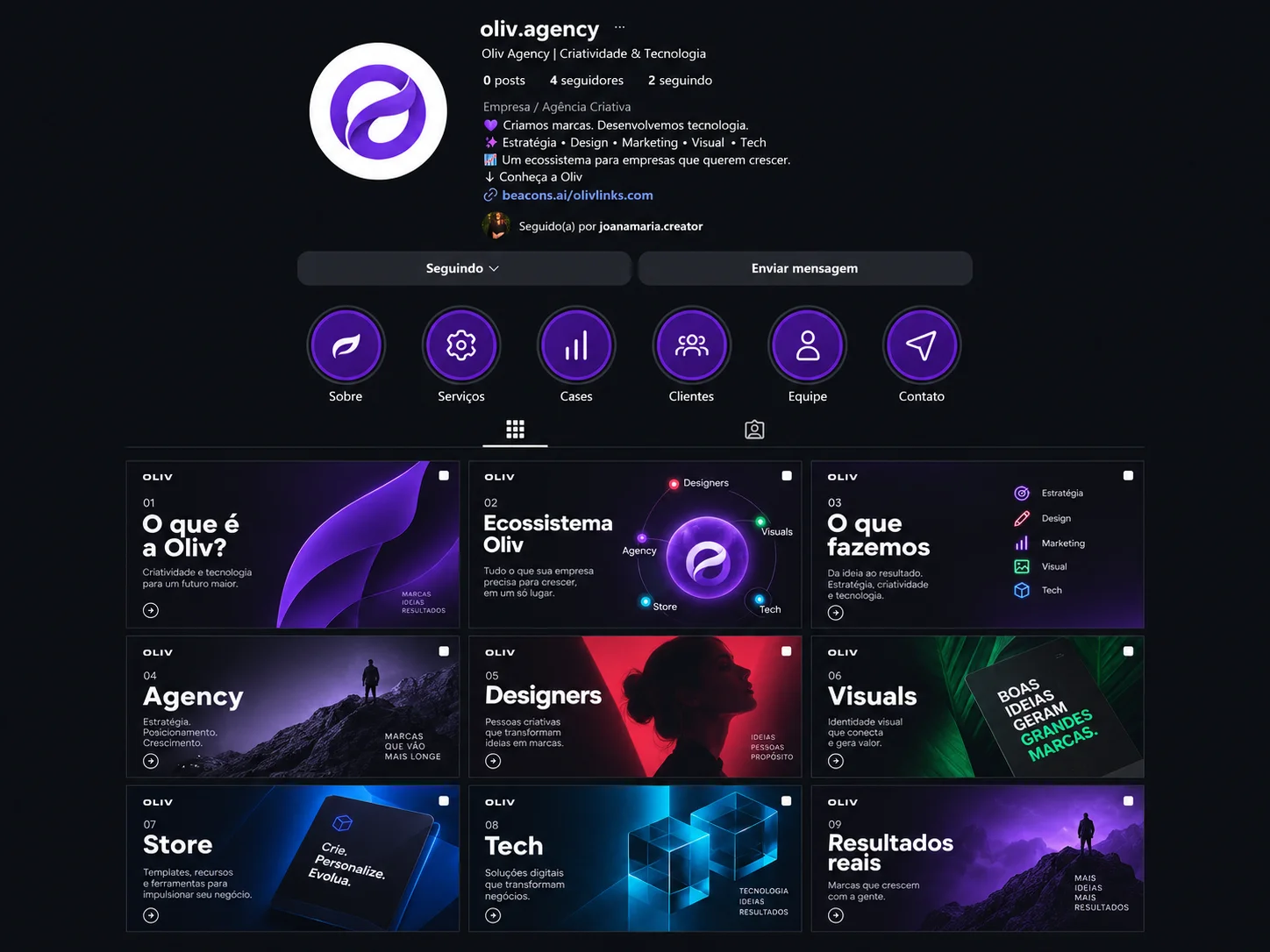Estudo visual dos posts e do perfil da OLIV
